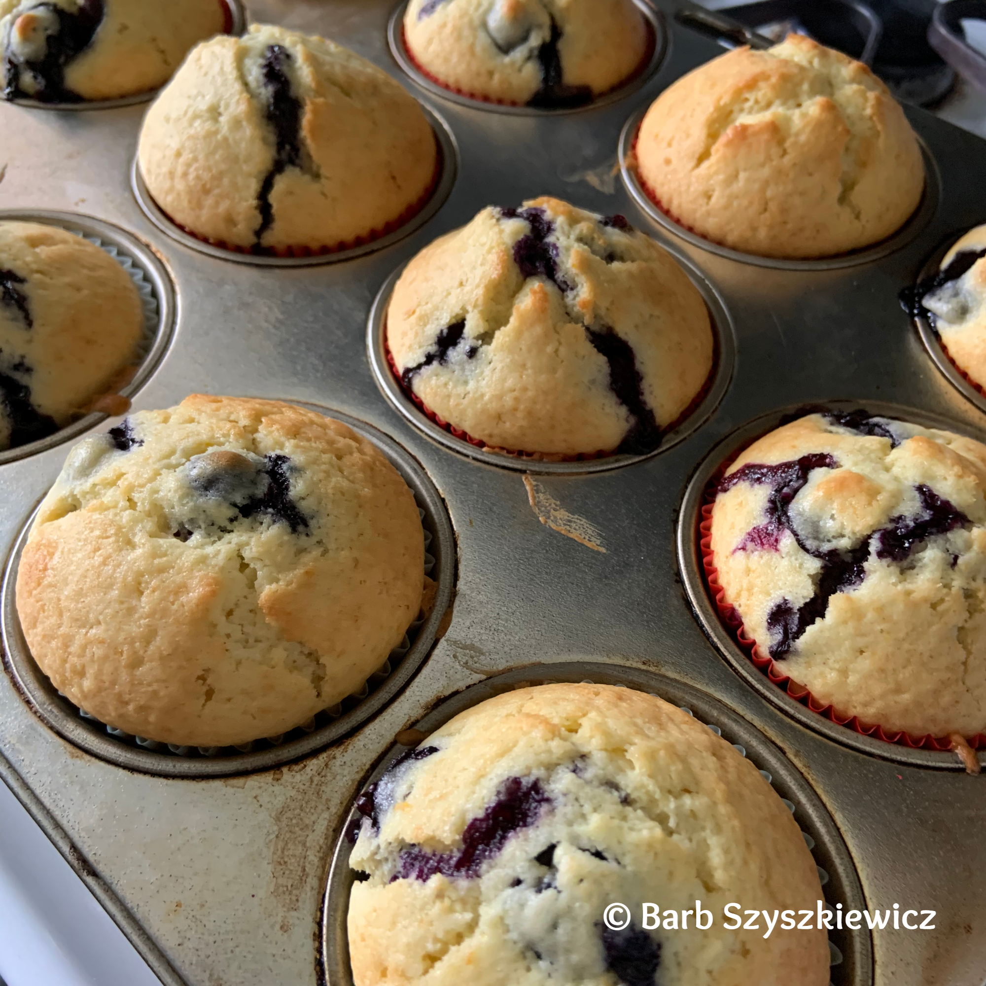 Blueberry Muffins